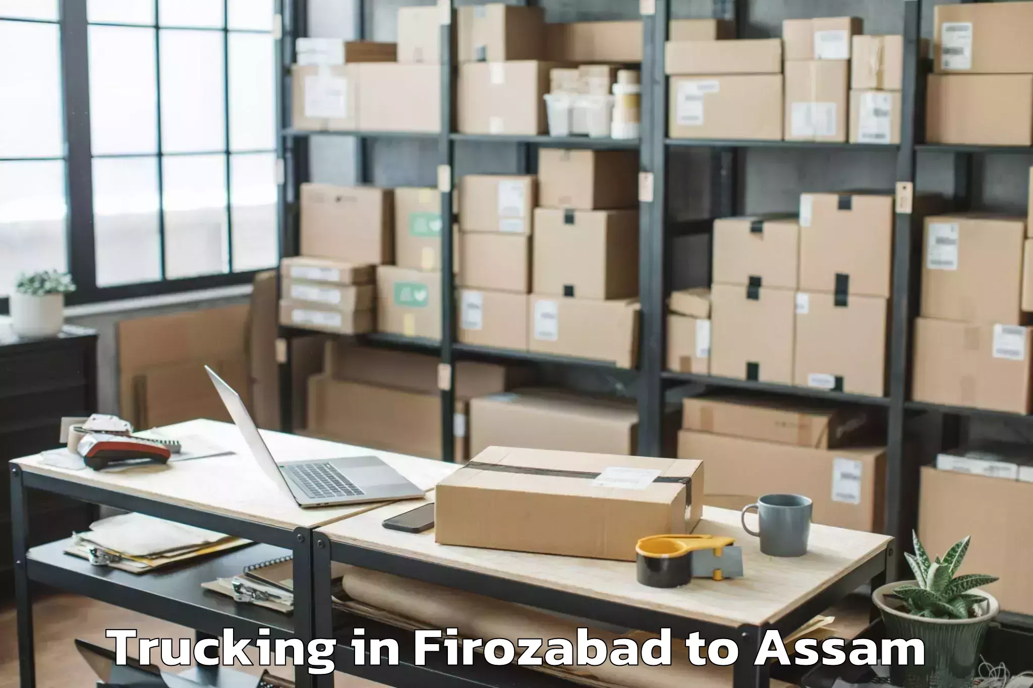 Hassle-Free Firozabad to Dokmoka Trucking